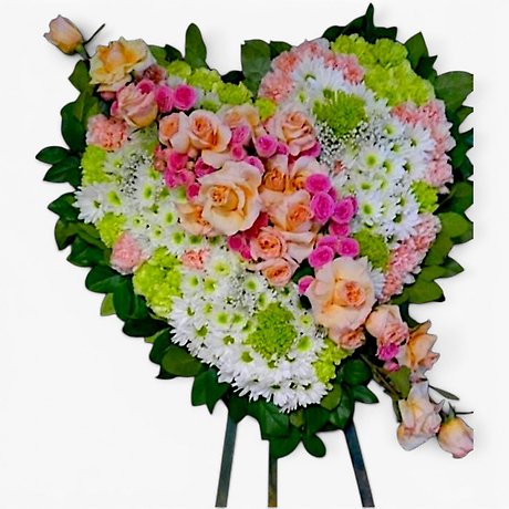 Pastel and white Assortment Solid Heart