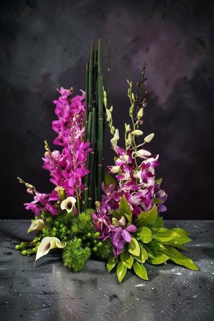 Tranquil Orchid Zen