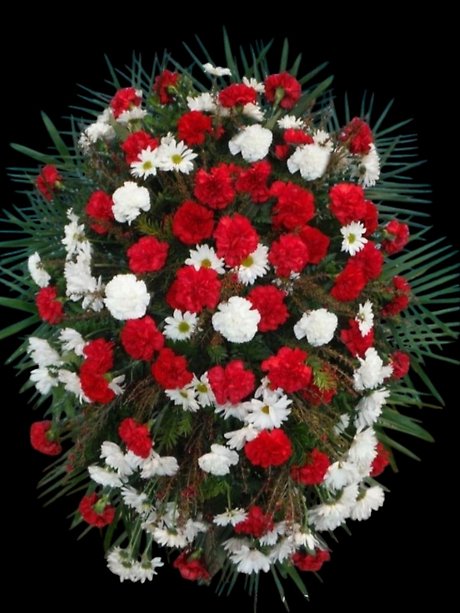 Red and White Carnation Standing Spray