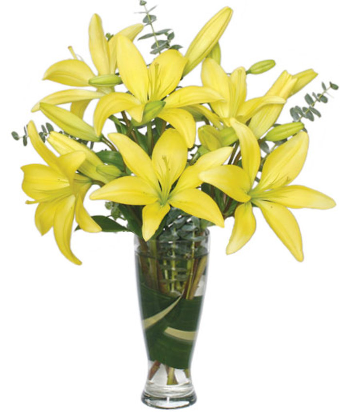 Beautiful yellow lilies