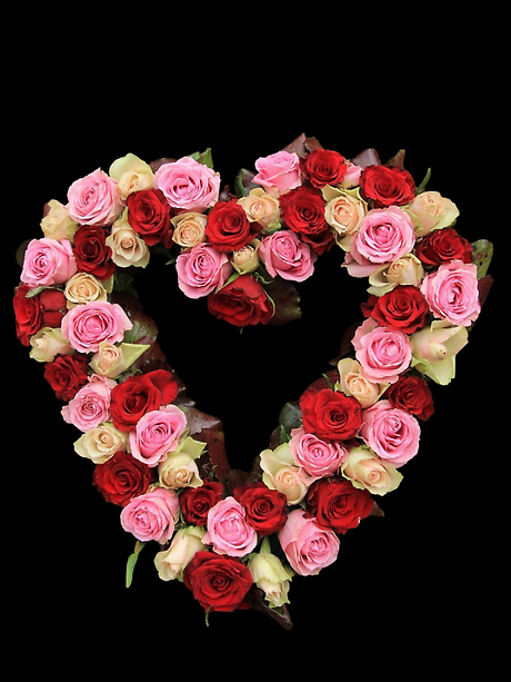 Rose parade open heart