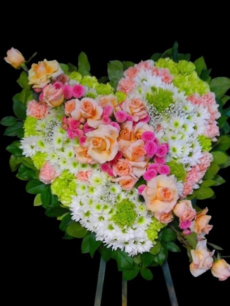 Pastel and white Assortment Solid Heart