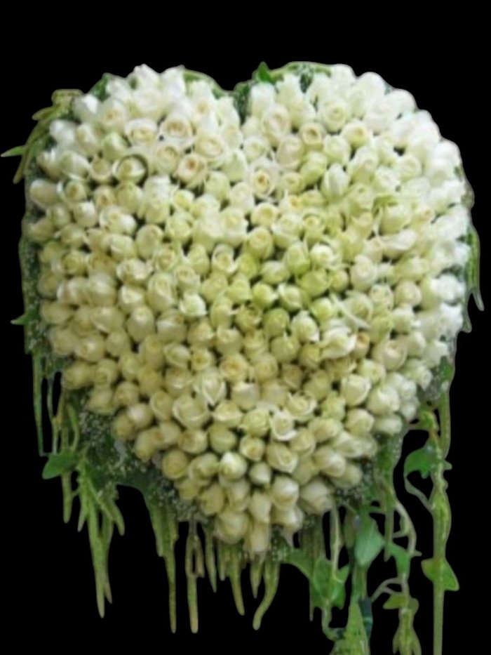 White Rose Elegance Heart