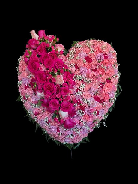 Sweet Love Bleeding Heart