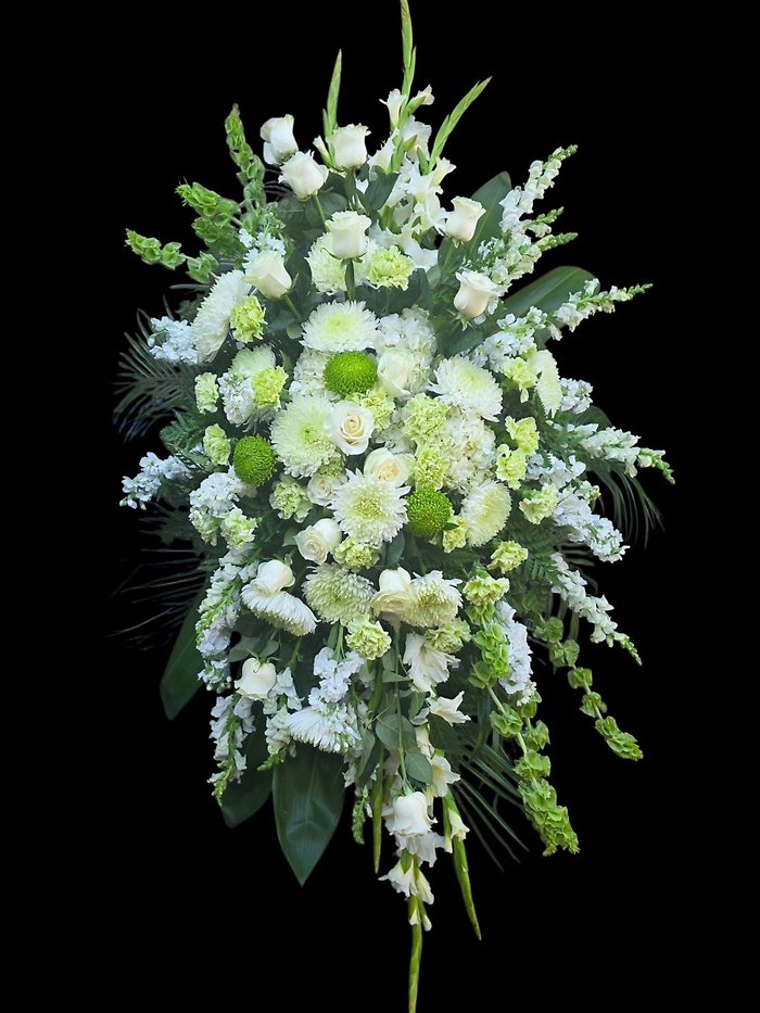 Morning Star Standing Spray