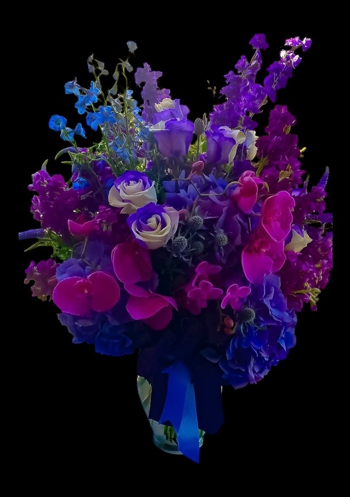 Enchanted Elegance