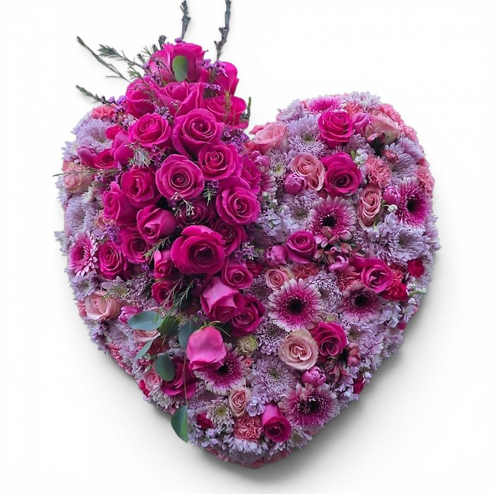Pink embrace bleeding heart