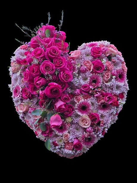 Pink embrace bleeding heart