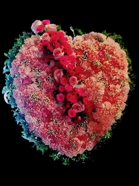 Sweet Love Bleeding Heart