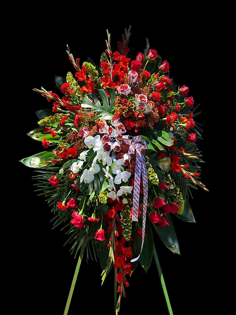 49ers Standing Spray