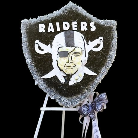 Raider\'s Logo