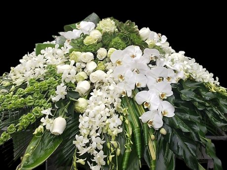 White Orchids and succulents casket spray