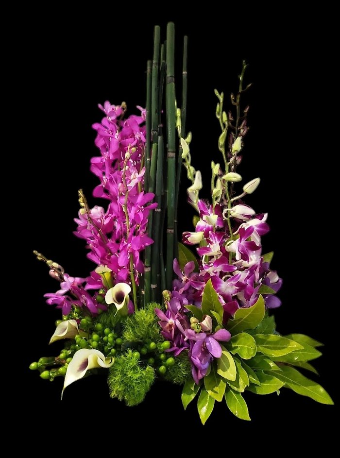 Tranquil Orchid Zen