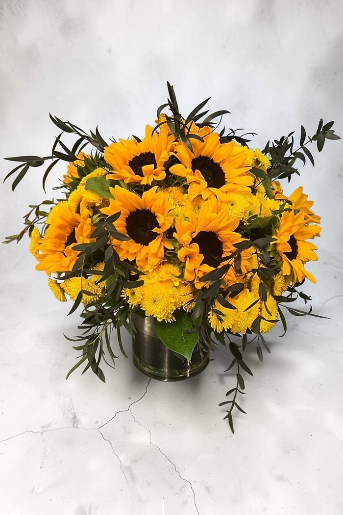 Sol Blooms