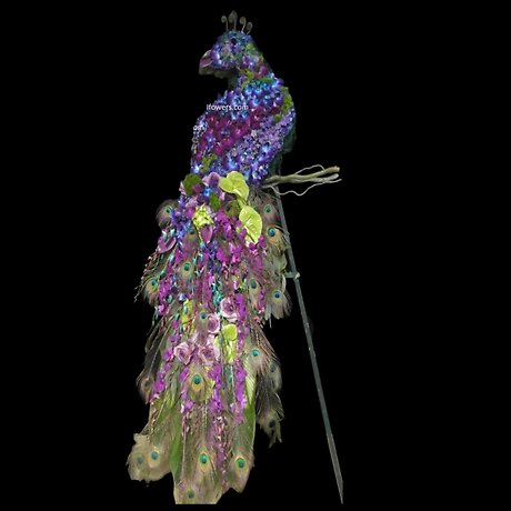 Peacock Floral Tribute