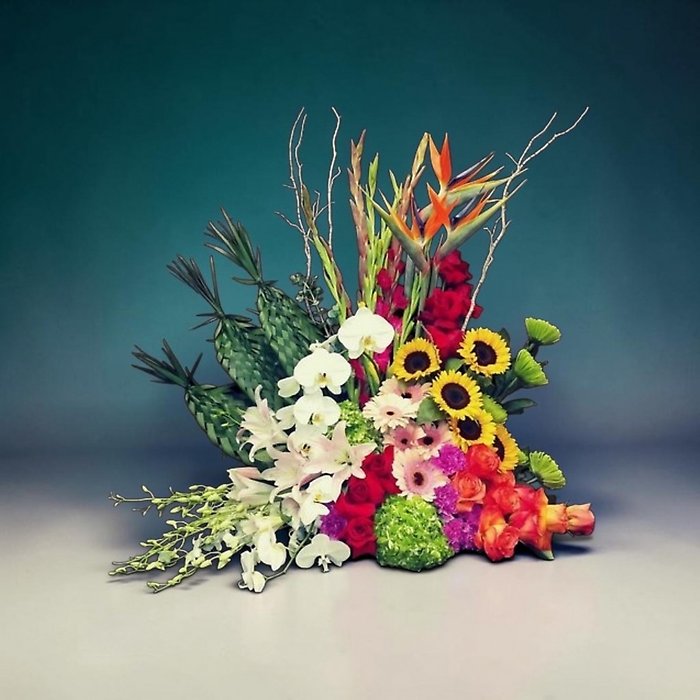 Tropical Elegance Symphony