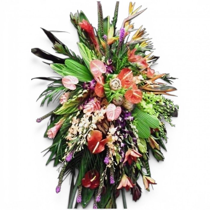 Exotic Tropical Assortment spray