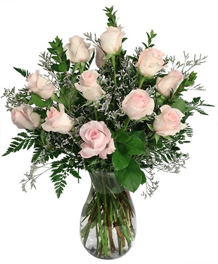 Soft pink dozen arrangement