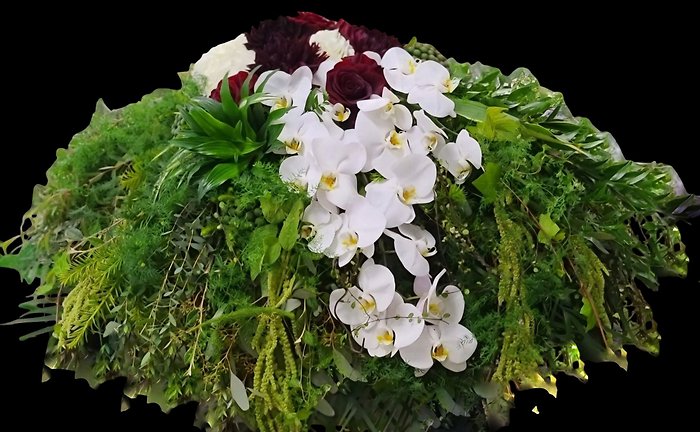 White Forest Casket Sprat