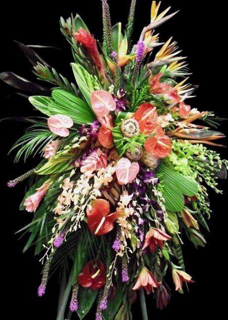 Exotic Tropical Assortment spray