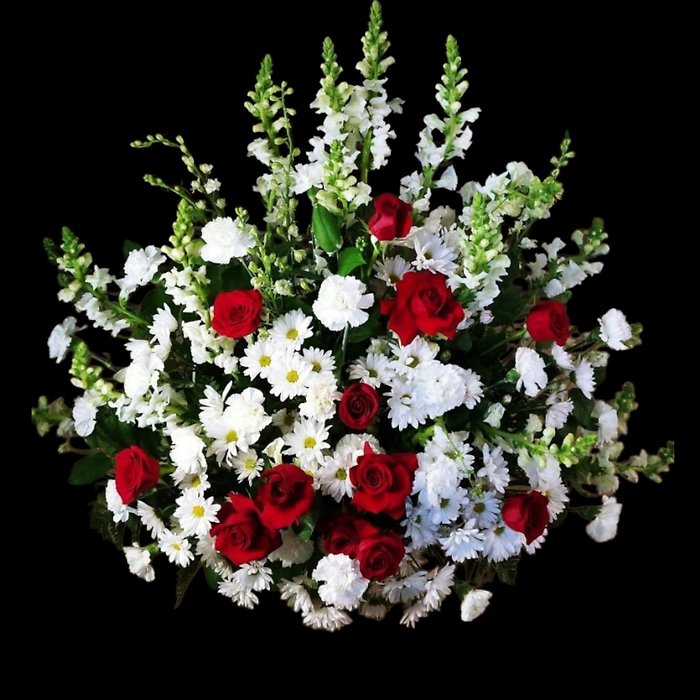 Red anf white classic basket
