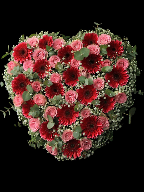 Daisy Rose Elegance Heart