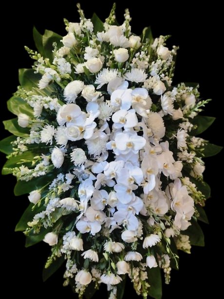 Traditional Premium All White  Spray