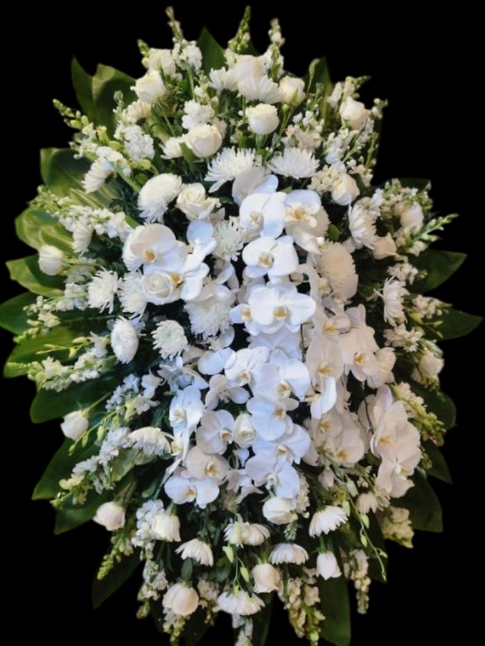 Traditional Premium All White  Spray