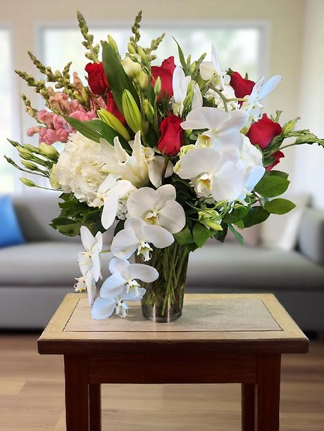 Delia Delight Blossoms