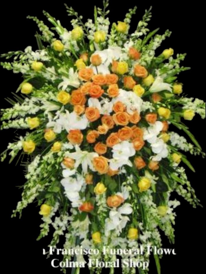 Graceful Sunshine Sprau