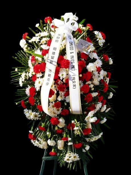 Traditional Red and white carnation spray