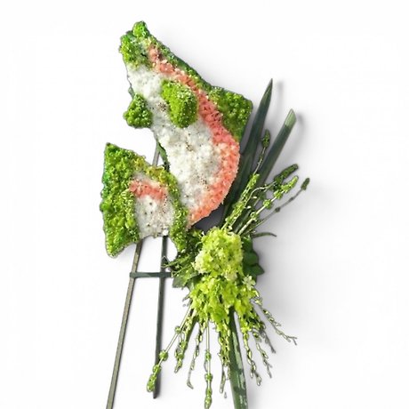Fish sympathy tribute