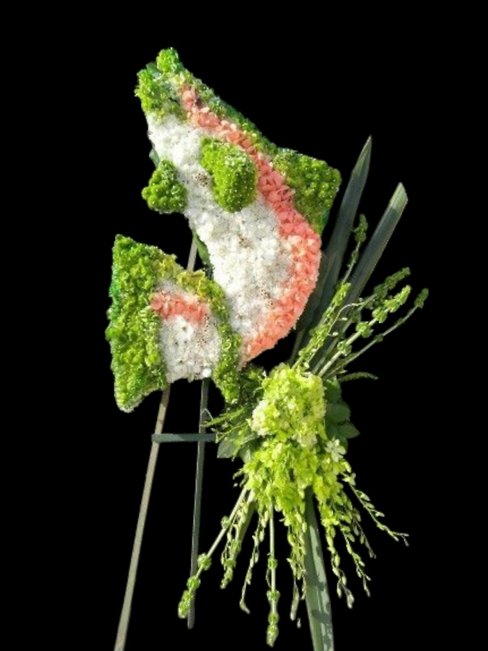 Fish sympathy tribute